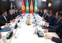 Премьер-министры Кыргызстана и Казахстана обсудили вопросы двустороннего сотрудничества