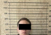 Милиция задержала водителя, сбившего и прокатившего на капоте патрульного