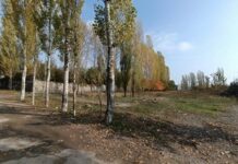 Жалал-Абад облусунда 35 миллион сомдук жер мамлекетке кайтарылды