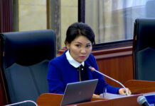 Депутат Эльвира Сурабалдиева просит установить бэби-боксы