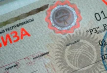 В Кыргызстане с 22 января вводятся «Сапар виза» и тариф за срочное оформление