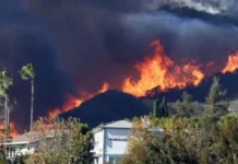 Число погибших при пожарах в Лос-Анджелесе выросло до 24
