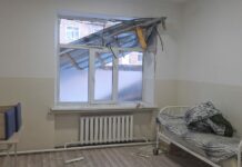 Балыкчыда катуу шамал катталып, эки жаран жабыркады