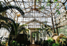 Ботаническому саду имени Э. Гареева в Бишкеке присвоен статус особо охраняемой природной территории