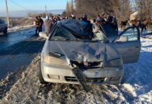 Всадник выскочил на «встречку», чтобы вытянуть оттуда лошадь, но попал под колеса авто