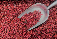 Кыргызстан начнет экспортировать красную фасоль в Китай