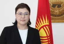 Дорожный фонд Кыргызстана возглавила Танзиля Сатимова