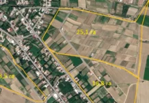 Таласта 96 га айдоо жери турак жай курууга мыйзамсыз берилген