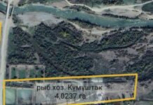 В Таласе задержали чиновников, незаконно продавших 16,5 гектара земли и пруд