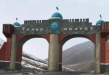 Таласта 15 гектарга жакын жер мамлекетке кайтарылды