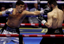 Бивол стал абсолютным чемпионом мира по боксу в полутяжелом весе