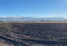 В Сокулуке на баланс государства возвращены 436 гектаров земель