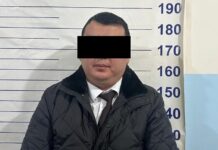 Маданият министрлигинин кызматкери коррупцияга шектелүүдө