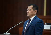 Жогорку Кеңеш саламаттыкты сактоо министри кызматына Эркин Чечейбаевди бекитти