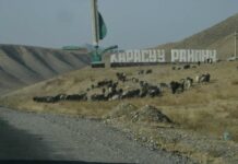 Кара-Сууда мыйзамсыз менчиктештирилген жер тилкеси мамлекетке кайтарылды