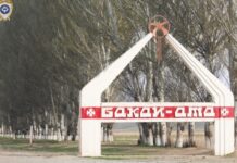 Государственный участок стоимостью 34 млн продали за 874 тысячи