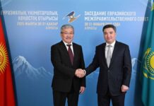 Глава кабмина Адылбек Касымалиев совершит свой первый официальный визит в Казахстан