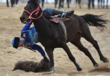 Смерть спортсмена во время матча кок-бору. В милиции рассказали подробности