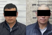 Игрок погиб на матче по кок-бору. Задержаны подозреваемые