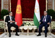 Садыр Жапаров провел переговоры с Эмомали Рахмоном