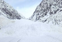 Каракол-Эңилчек унаа жолунда (Чоң-Ашуу ашуусу) кар көчкү түштү