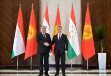 Садыр Жапаров: Кыргызстан менен Тажикстандын ортосундагы чек ара жөнүндө келишимге кол коюу тагдыр чечүүчү тарыхый окуя болот