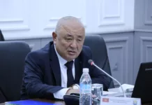 Жузупбек Нурматов: Аудит бир топ мыйзам бузууларды аныктады