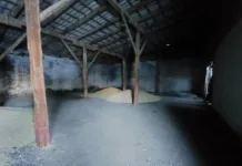 Семенной склад бывшего колхоза «Карл-Маркс» в Сокулуке передан на баланс государства