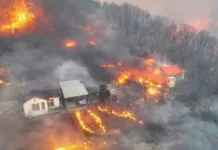 Түштүк Кореядагы токойдон чыккан өрттө каза болгондордун саны 26 га жетти