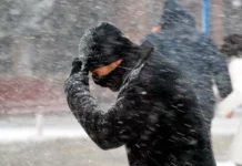 Штормовое предупреждение — сильный ветер ожидается в Бишкеке и Чуйской области