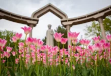 Эта рабочая неделя у кыргызстанцев будет короткой