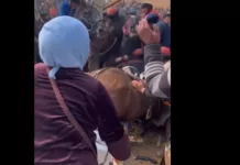 Во время игры в улак-тартыш повредили два авто