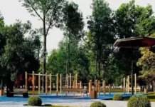 Как будет выглядеть Ботанический сад после реконструкции