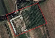 Государству вернули вино-водочный завод в Кара-Суу