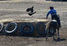 Депутат предлагает убрать тай-казан из кок-бору