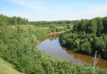 Ош облусунда Тар дарыясына агып кеткен 8 жаштагы баланы издөө иштери уланууда