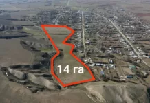 Жети-Өгүздө 14 га жер тилкеси мамлекетке кайтарылды