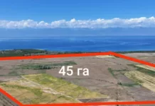 Государству добровольно вернули 145 га земель на берегу Иссык-Куля