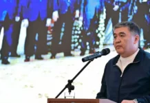 Камчыбек Ташиев: Президент поручил до конца года завершить демаркацию границы с РТ