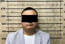 В Бишкеке подозреваемый в изнасиловании предложил милиционеру жеребца в качестве взятки