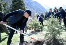 Садыр Жапаров с супругой посадили деревья в парке «Ала-Арча»