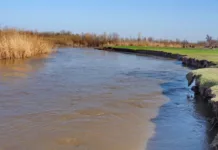 Женщина пыталась перебраться из Казахстана в Кыргызстан вброд через реку Чу