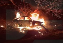 BMW врезался в дерево и воспламенился, водитель сгорел заживо