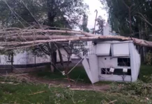 Шквалистый ветер на Иссык-Куле повалил 210 деревьев и повредил 178 домов