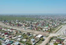 Кабмин продлил срок подачи заявлений на земельную амнистию до 1 июля