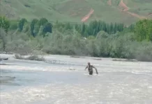 В городе Ош ищут ребенка, упавшего в реку Гульча