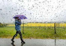 Дожди и грозы — погода в Кыргызстане с 29 мая по 4 июня