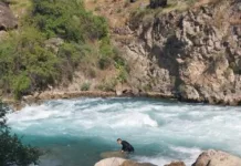 Куткаруучулар Ак-Буура дарыясына агып кеткен баланын сөөгүн табышты