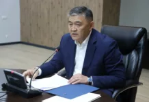 Нелегалы до 10 июня должны узаконить свое пребывание или покинуть Кыргызстан