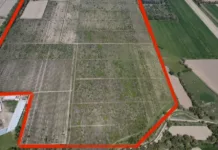 Государству вернули 307 гектаров земли в Чуйской области